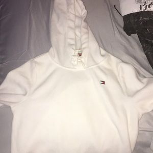 tommy hilfiger hoodie